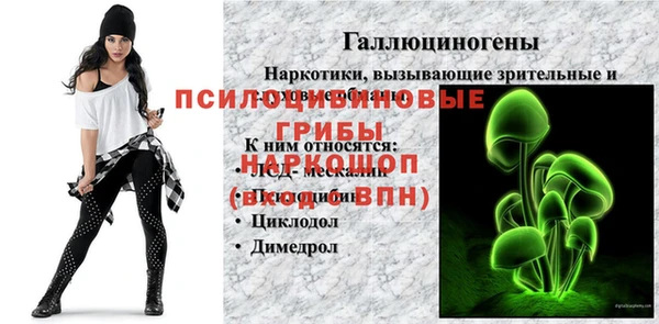 винт Аркадак