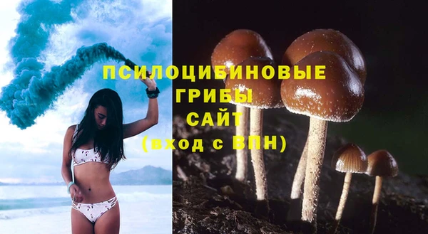 меф Армянск