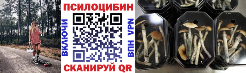 Галлюциногенные грибы GOLDEN TEACHER  Кизляр 